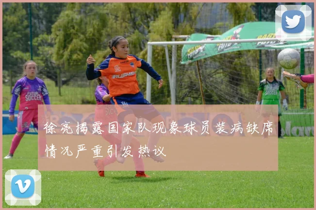 徐亮揭露国家队现象球员装病缺席情况严重引发热议